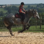 VDOCK D’ALBE under saddle: