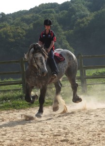 VDOCK D’ALBE under saddle: