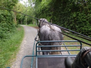 VIDOCK D’ALBE Driven: