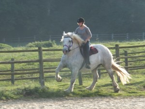 VIOLETTE DE L’AUMONE under saddle: