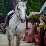 VIOLETTE DE L’AUMONE under saddle: